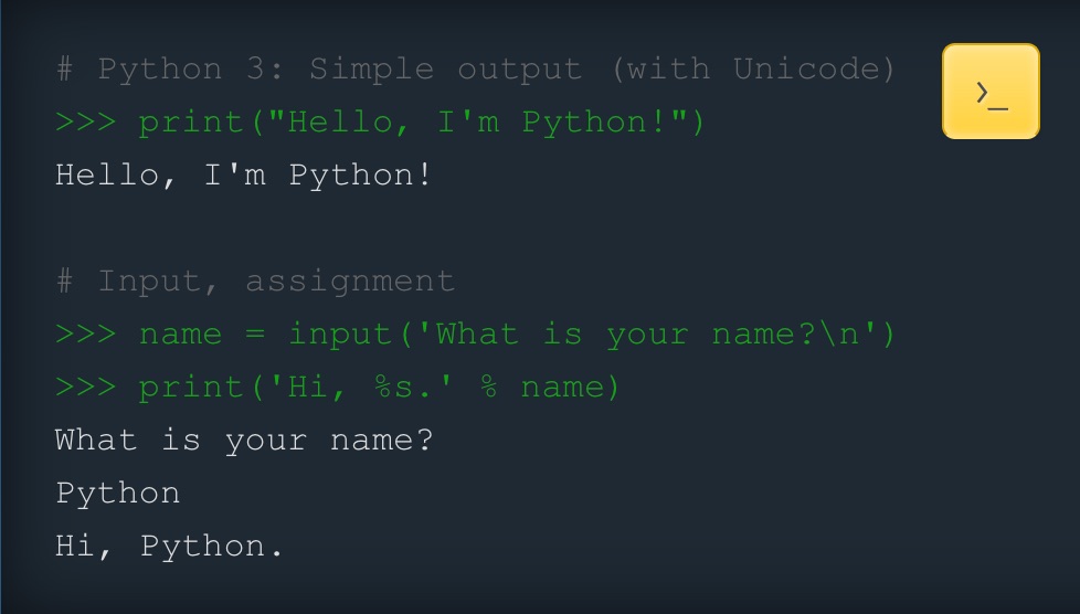 Python: A Linguagem que Mudou as Regras do Jogo no Desenvolvimento de Software